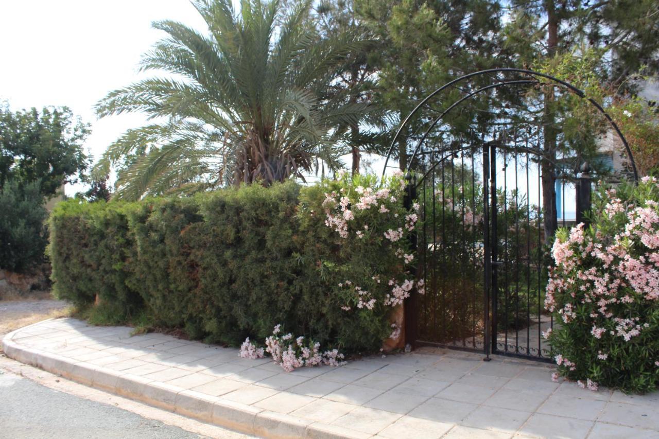 Olive Beach Villa Peyia Exterior photo